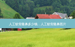 人工软骨隆鼻多少钱，人工软骨隆鼻图片