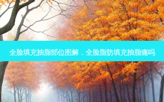 全脸填充抽脂部位图解，全脸脂肪填充抽脂痛吗