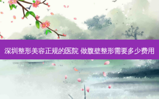 深圳整形美容正规的医院 做腹壁整形需要多少费用