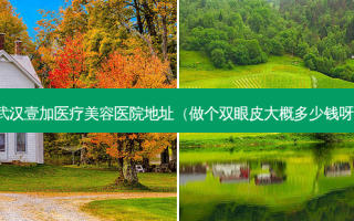 武汉壹加医疗美容医院地址（做个双眼皮大概多少钱呀）