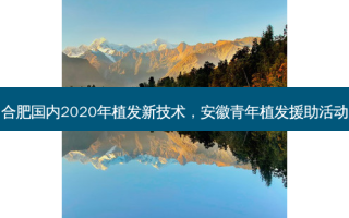 合肥国内2020年植发新技术，安徽青年植发援助活动