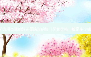 矫正牙齿用金属的好还是隐形的好（牙套价格一般是多少钱一个）