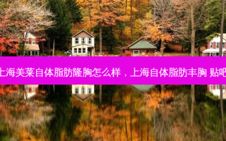 上海美莱自体脂肪隆胸怎么样，上海自体脂肪丰胸 贴吧