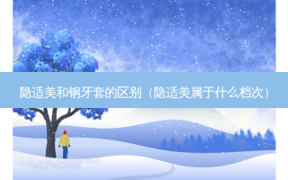 隐适美和钢牙套的区别（隐适美属于什么档次）