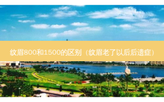 纹眉800和1500的区别（纹眉老了以后后遗症）