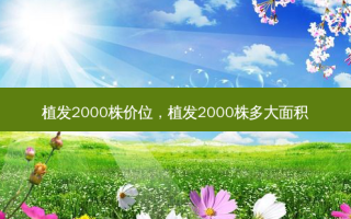 植发2000株价位，植发2000株多大面积