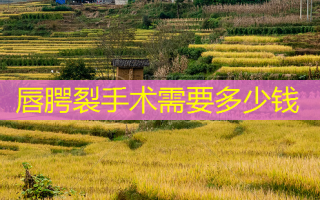 唇腭裂手术需要多少钱