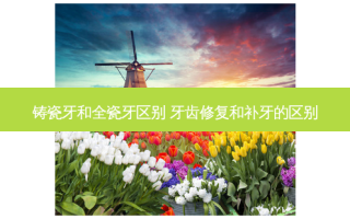 铸瓷牙和全瓷牙区别 牙齿修复和补牙的区别