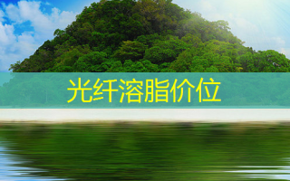 光纤溶脂价位