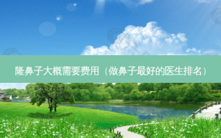 隆鼻子大概需要费用（做鼻子好的医生排名）