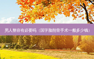 男人整容有必要吗（国字脸削骨手术一般多少钱）