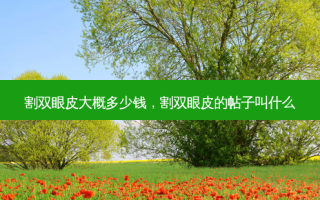 割双眼皮大概多少钱，割双眼皮的帖子叫什么