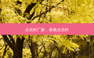 水光针厂家，泰奥水光针