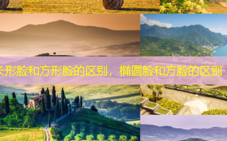 长形脸和方形脸的区别，椭圆脸和方脸的区别