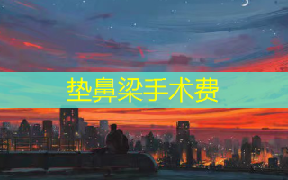 垫鼻梁手术费