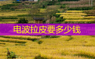 电波拉皮要多少钱