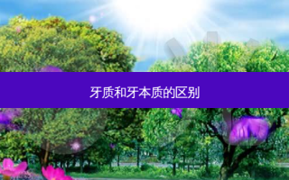 牙质和牙本质的区别