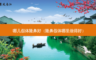 哪儿假体隆鼻好（隆鼻假体哪里做得好）