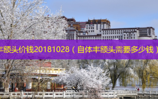 丰额头价钱20181028（自体丰额头需要多少钱）