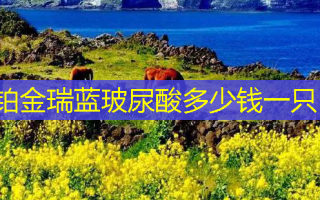铂金瑞蓝玻尿酸多少钱一只