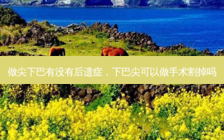 做尖下巴有没有后遗症，下巴尖可以做手术割掉吗
