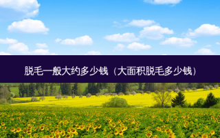 脱毛一般大约多少钱（大面积脱毛多少钱）
