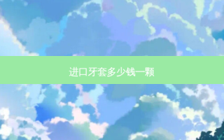 进口牙套多少钱一颗