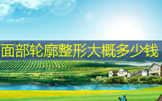 面部轮廓整形大概多少钱