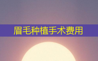眉毛种植手术费用