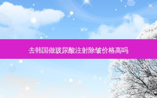 去韩国做玻尿酸注射除皱价格高吗