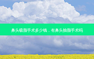 鼻头吸脂手术多少钱，有鼻头抽脂手术吗