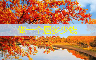 做一个唇多少钱