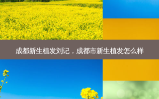 成都新生植发刘记，成都市新生植发怎么样