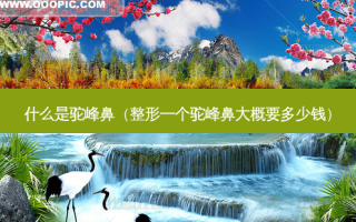 什么是驼峰鼻（整形一个驼峰鼻大概要多少钱）