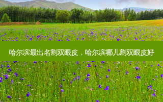 哈尔滨出名割双眼皮，哈尔滨哪儿割双眼皮好