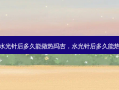 打完水光针后多久能做热玛吉，水光针后多久能热玛吉