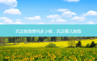 武汉抽脂贵吗多少钱，武汉哪儿抽脂