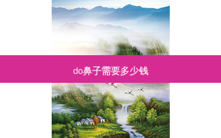 do鼻子需要多少钱