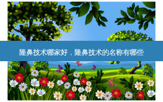 隆鼻技术哪家好，隆鼻技术的名称有哪些