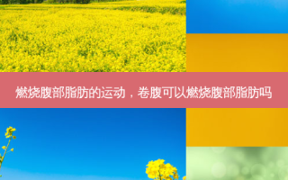 燃烧腹部脂肪的运动，卷腹可以燃烧腹部脂肪吗