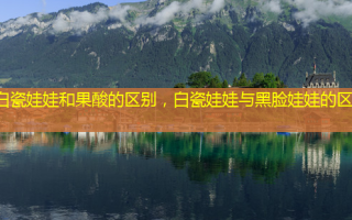 白瓷娃娃和果酸的区别，白瓷娃娃与黑脸娃娃的区别