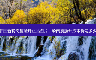 韩国新粉肉瘦脸针正品图片，粉肉瘦脸针成本价是多少