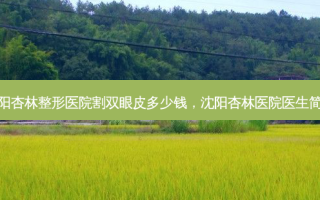 沈阳杏林整形医院割双眼皮多少钱，沈阳杏林医院医生简介