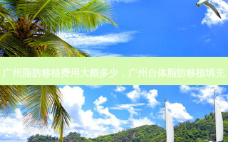 广州脂肪移植费用大概多少，广州自体脂肪移植填充