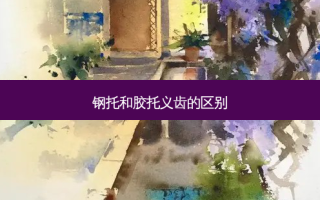 钢托和胶托义齿的区别