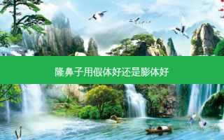 隆鼻子用假体好还是膨体好