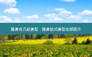 隆鼻有几款鼻型，隆鼻款式鼻型全部图片