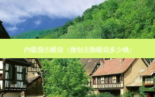 内吸脂去眼袋（微创去除眼袋多少钱）