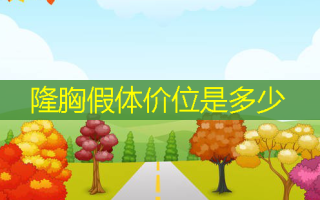 隆胸假体价位是多少