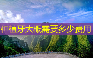 种植牙大概需要多少费用